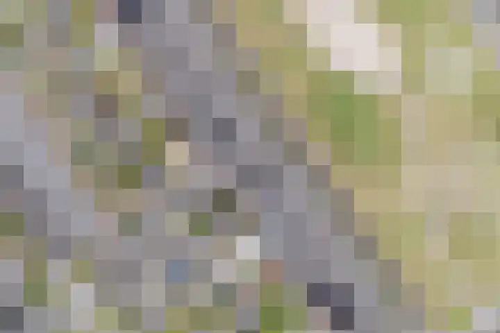Guus Vleugelplantsoen 13 Utrecht thumbnail 4