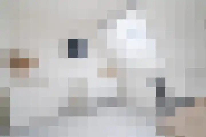 Guus Vleugelplantsoen 13 Utrecht thumbnail 43