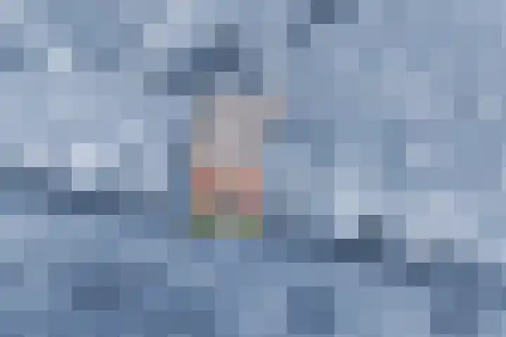 Guus Vleugelplantsoen 13 Utrecht thumbnail 5