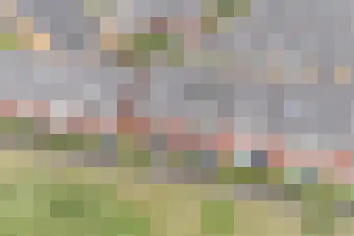 Guus Vleugelplantsoen 13 Utrecht thumbnail 51