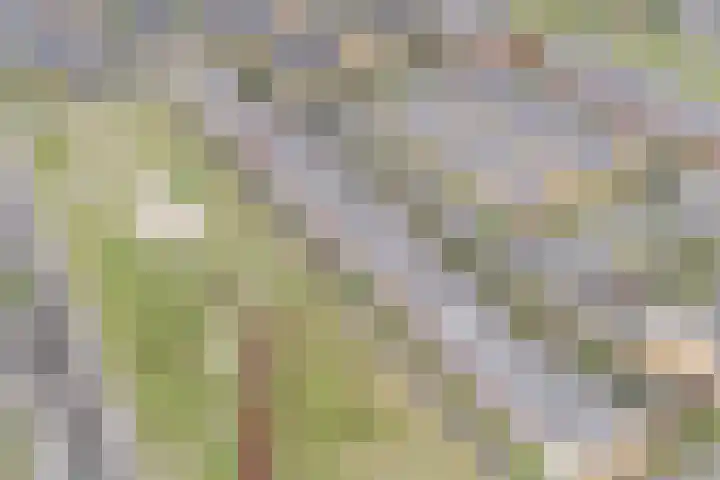Guus Vleugelplantsoen 13 Utrecht thumbnail 52