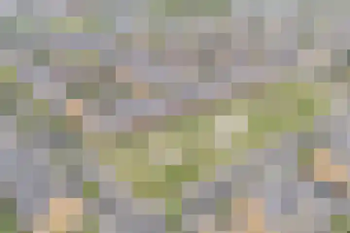 Guus Vleugelplantsoen 13 Utrecht thumbnail 53