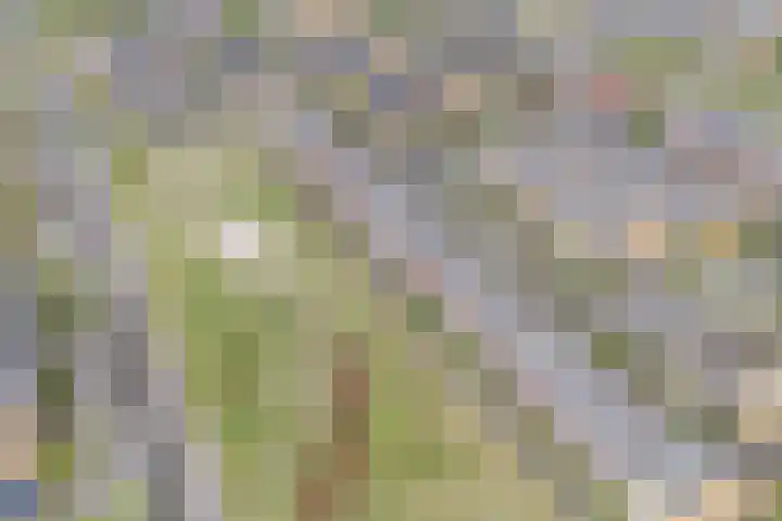Guus Vleugelplantsoen 13 Utrecht thumbnail 54