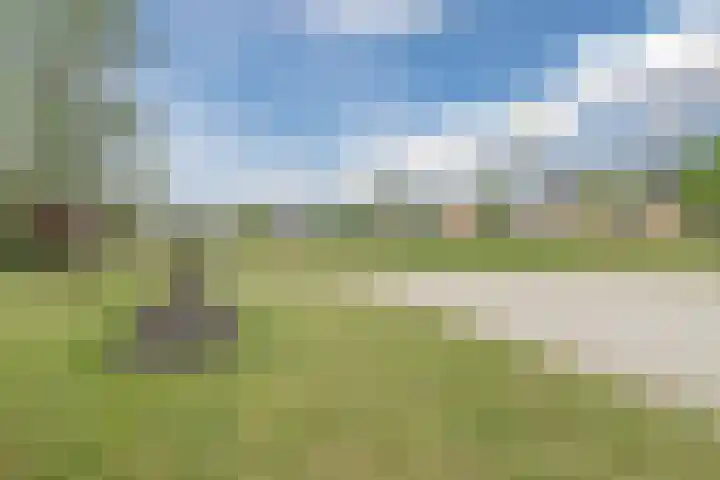 Guus Vleugelplantsoen 13 Utrecht thumbnail 55