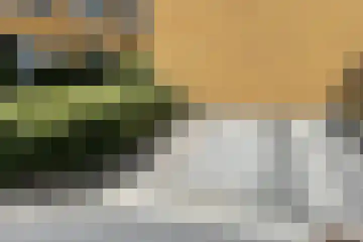 Guus Vleugelplantsoen 13 Utrecht thumbnail 57