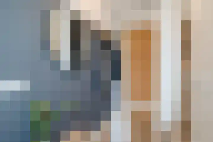 Guus Vleugelplantsoen 13 Utrecht thumbnail 6