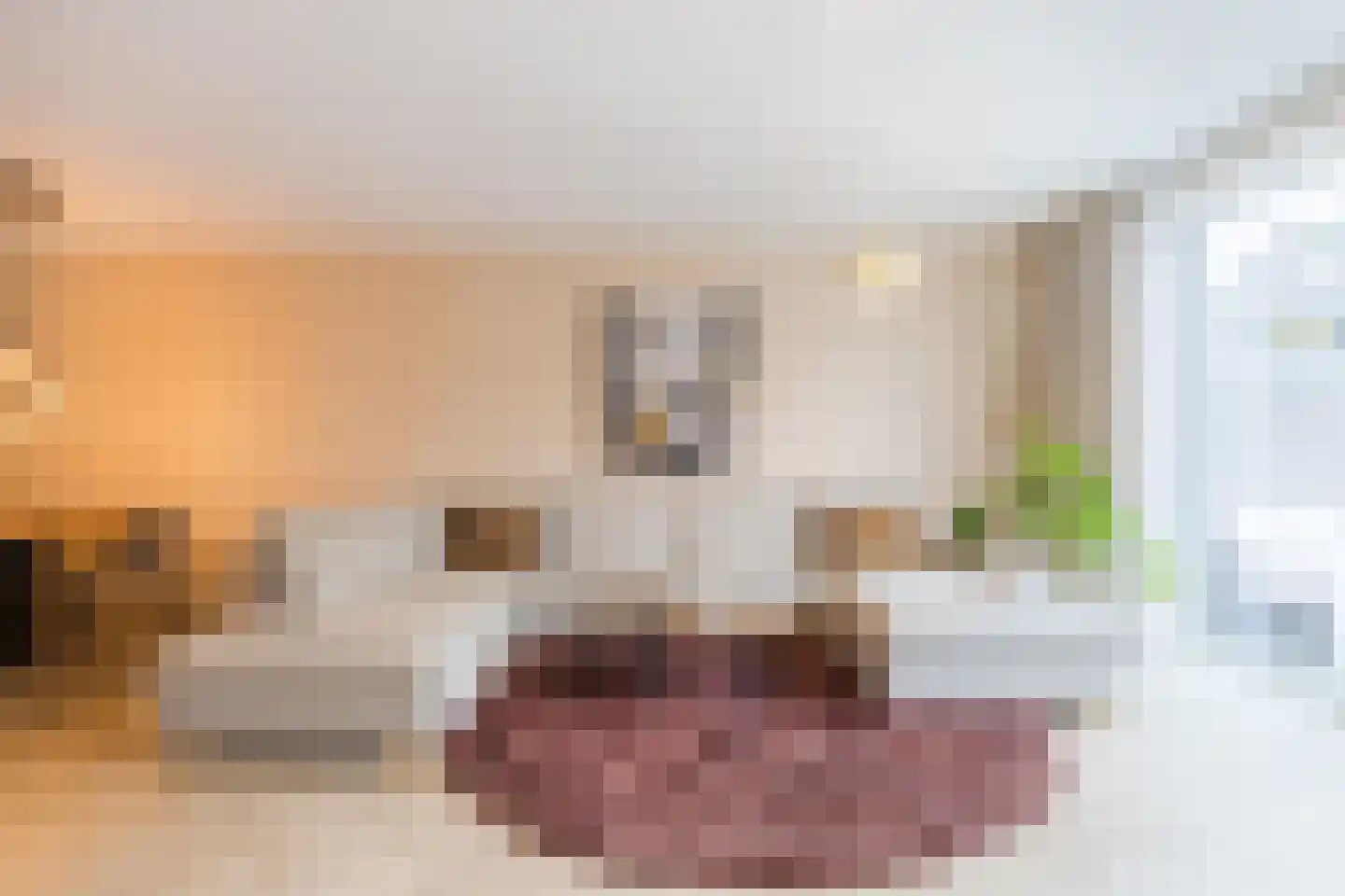 Guus Vleugelplantsoen 23 Utrecht thumbnail 11