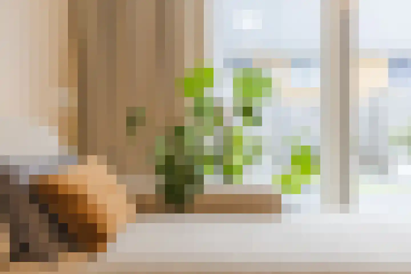 Guus Vleugelplantsoen 23 Utrecht thumbnail 13