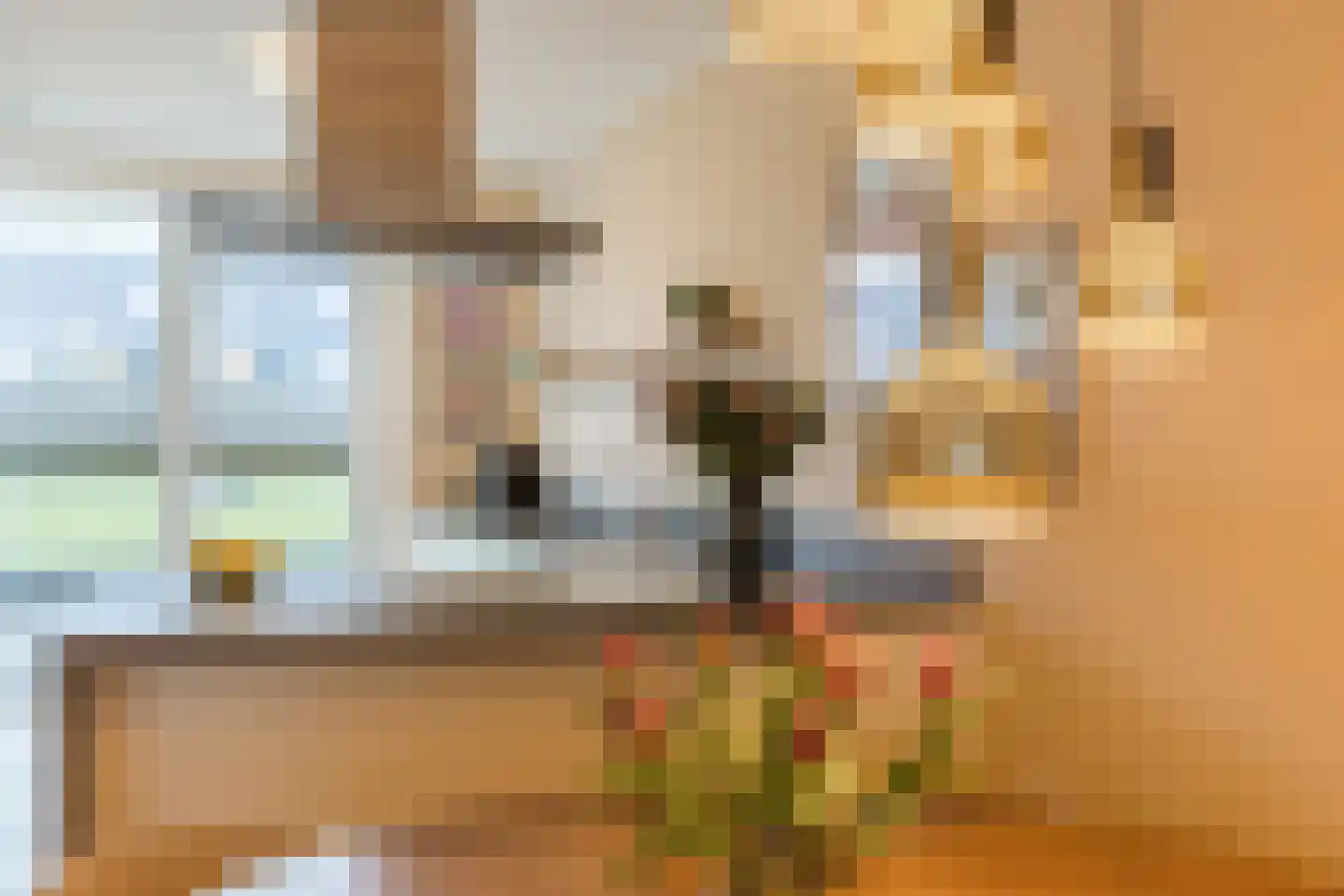 Guus Vleugelplantsoen 23 Utrecht thumbnail 28