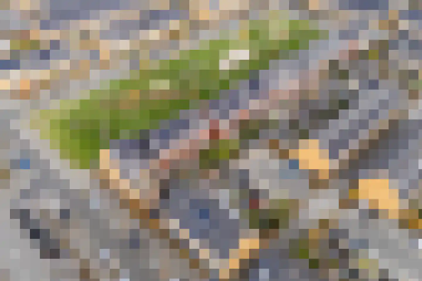 Guus Vleugelplantsoen 23 Utrecht thumbnail 66