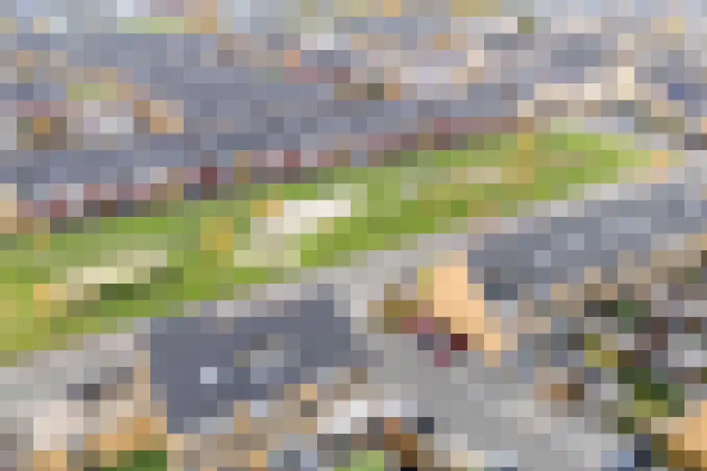 Guus Vleugelplantsoen 23 Utrecht thumbnail 69