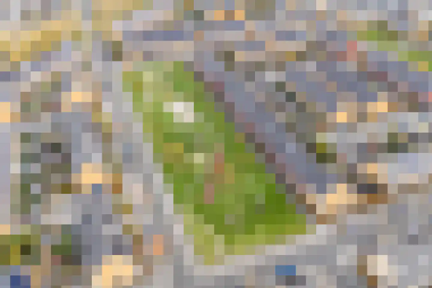 Guus Vleugelplantsoen 23 Utrecht thumbnail 70