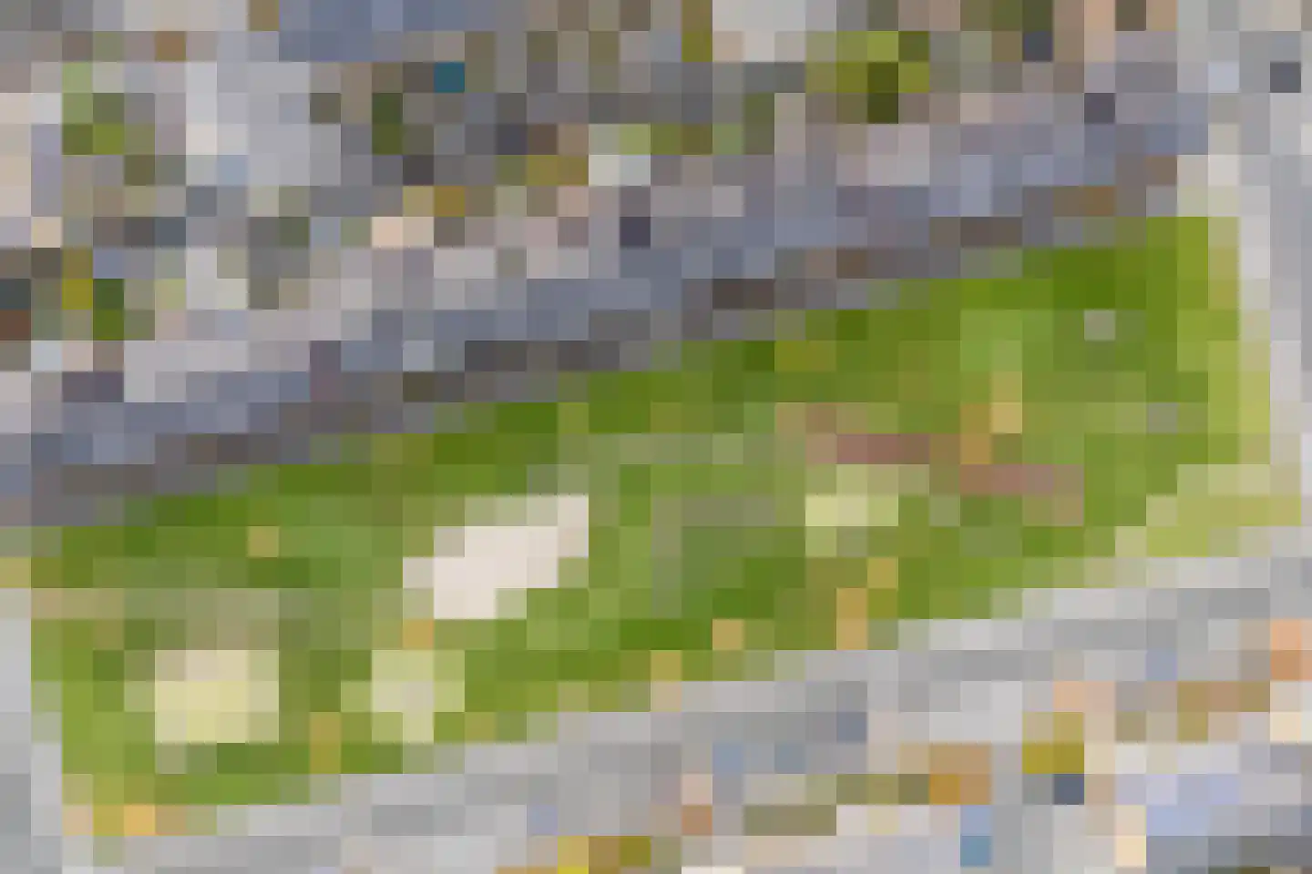 Guus Vleugelplantsoen 23 Utrecht thumbnail 71
