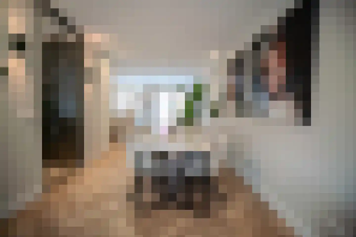 Guus Vleugelstraat 23 Berkel en Rodenrijs thumbnail 13