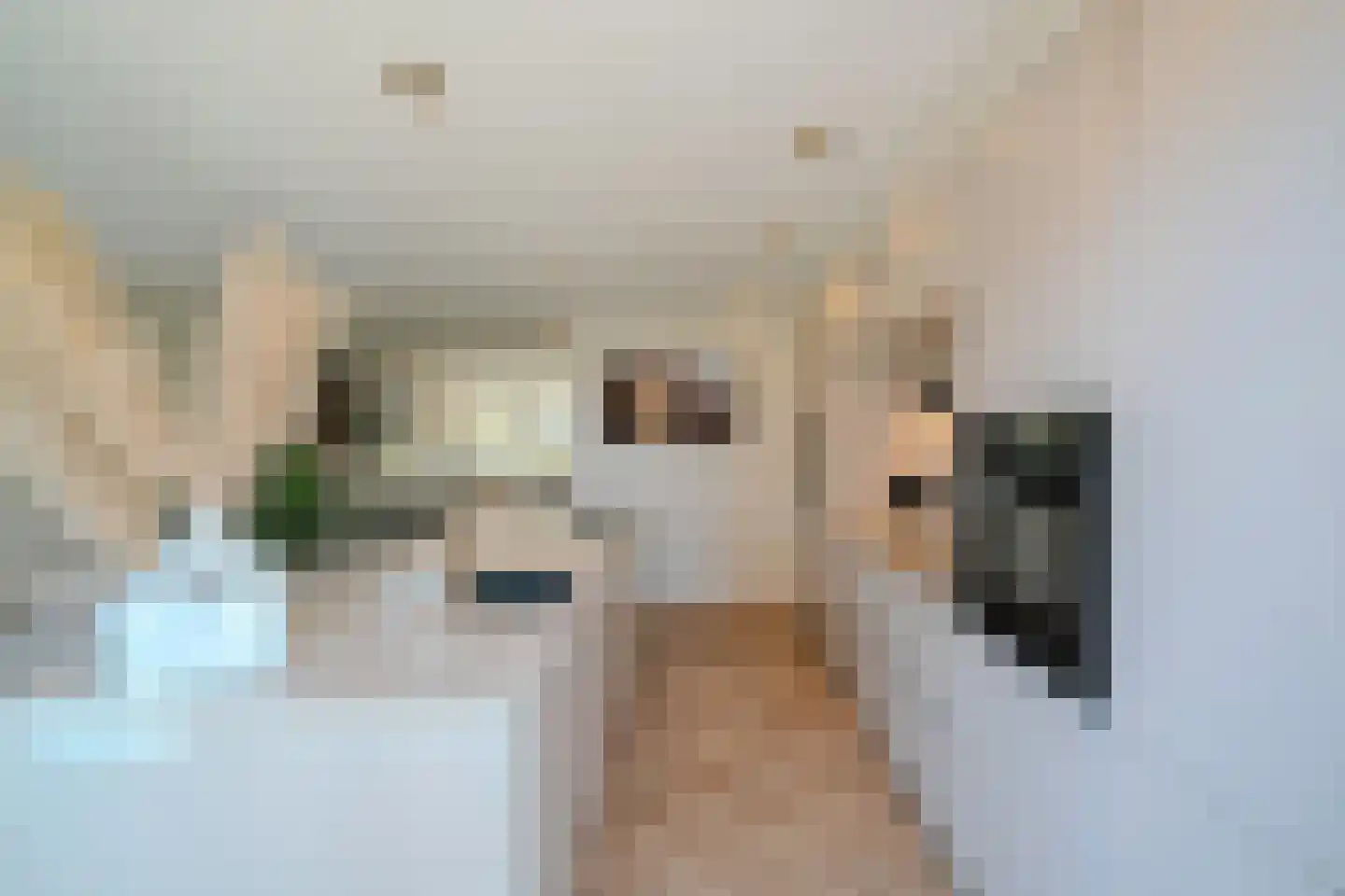 Guus Vleugelstraat 23 Berkel en Rodenrijs thumbnail 16