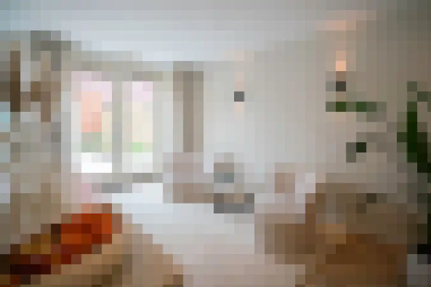 Guus Vleugelstraat 23 Berkel en Rodenrijs thumbnail 18
