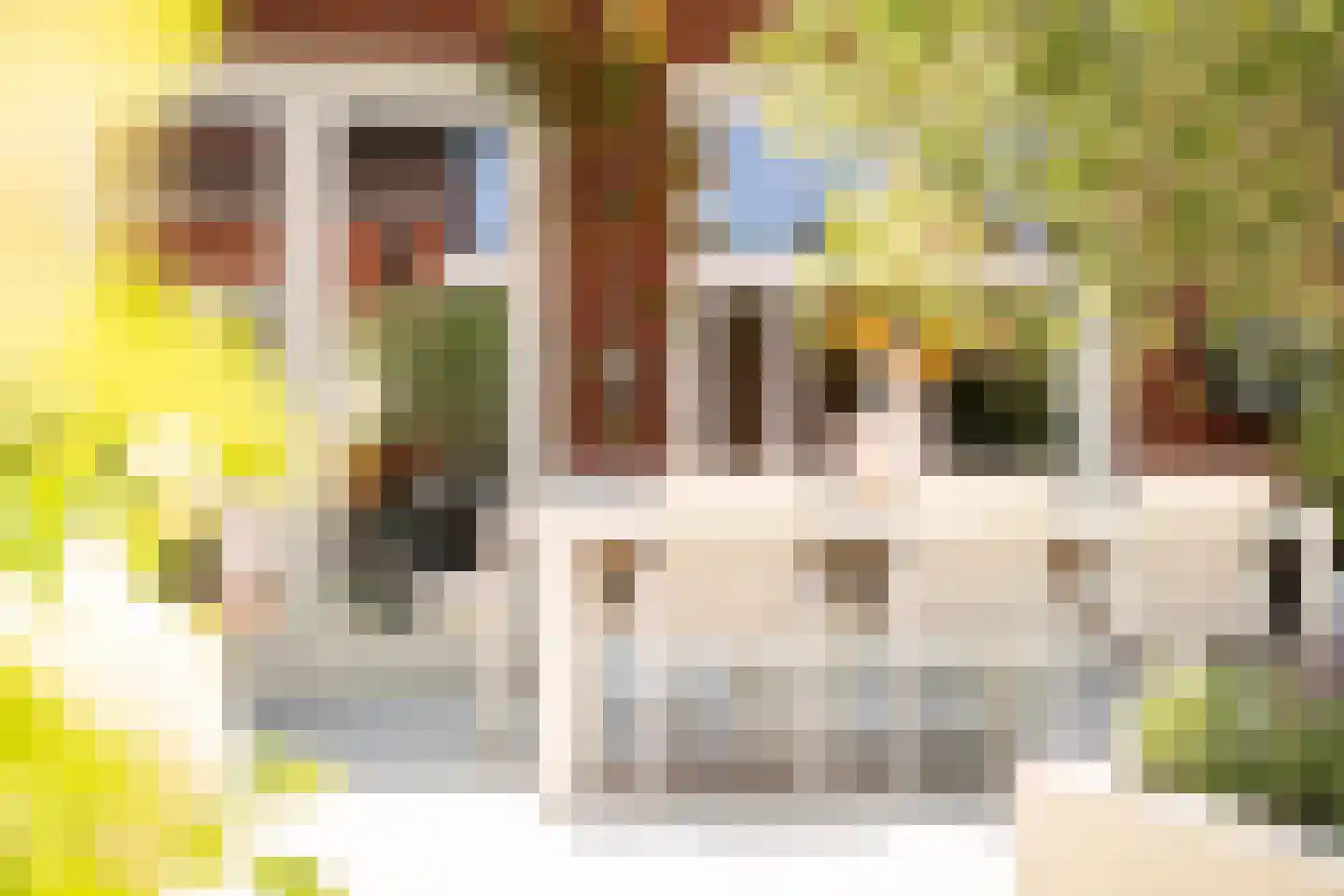 Guus Vleugelstraat 23 Berkel en Rodenrijs thumbnail 48