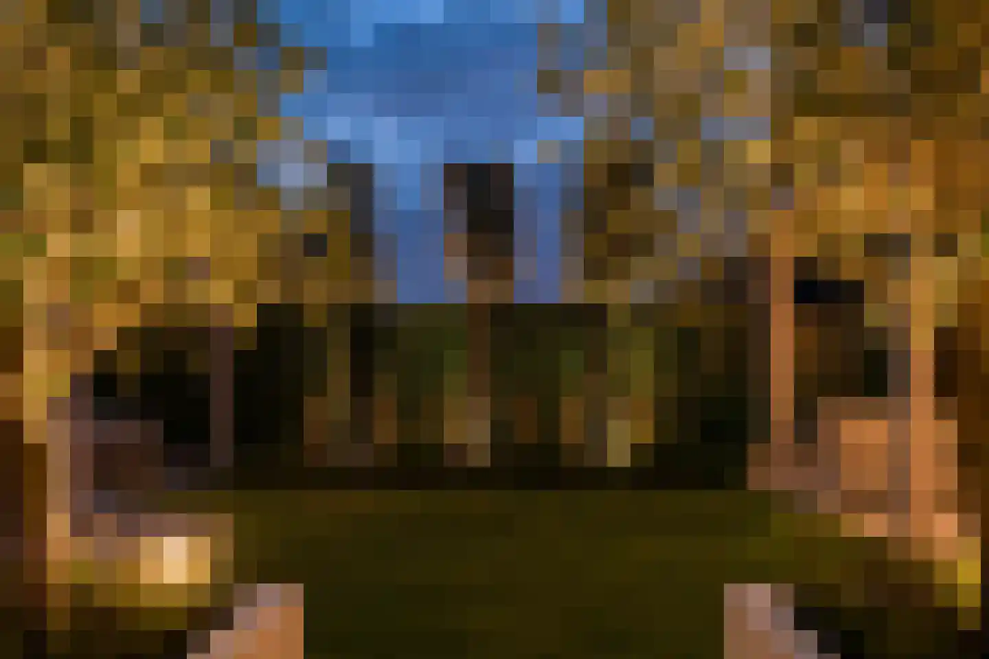 Guus Vleugelstraat 23 Berkel en Rodenrijs thumbnail 65
