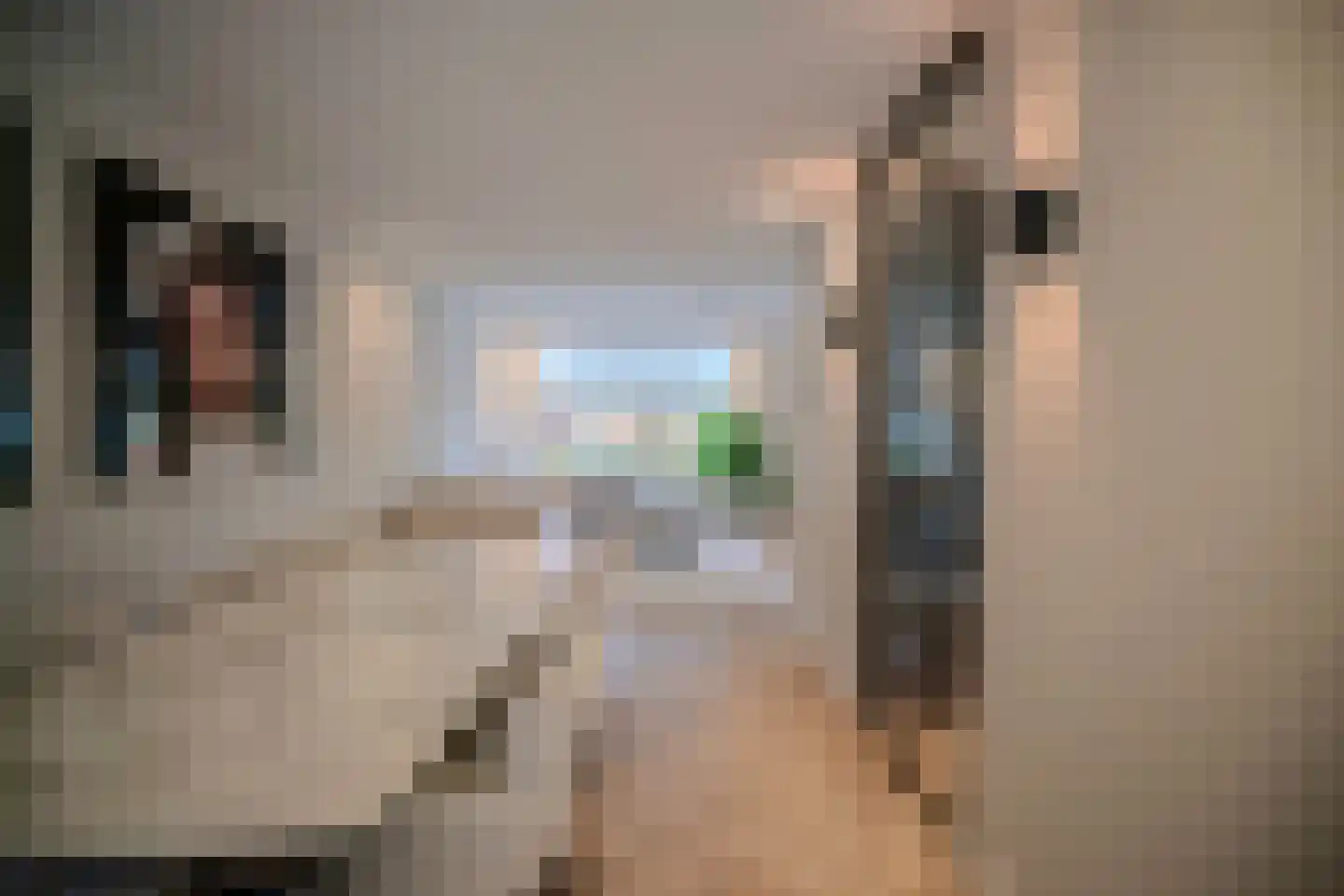 Guus Vleugelstraat 23 Berkel en Rodenrijs thumbnail 9