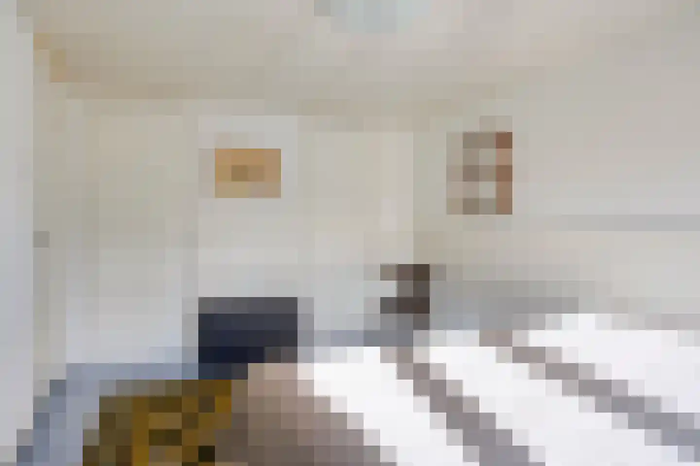 Gymnasiumstraat 4 A Assen thumbnail 20