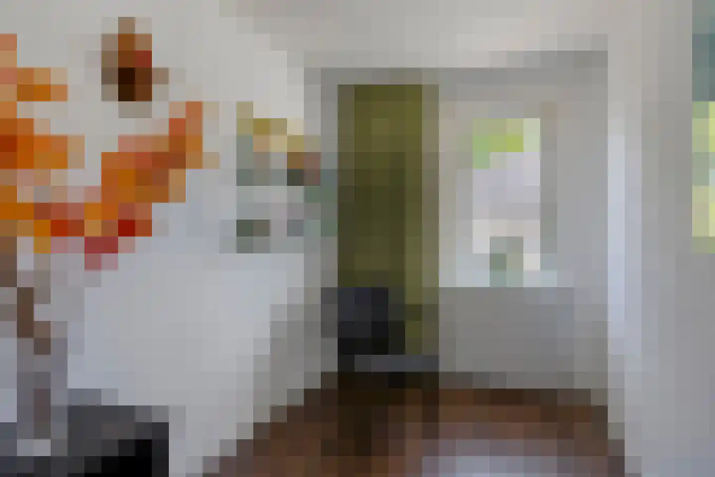 Gymnasiumstraat 4 A Assen thumbnail 23