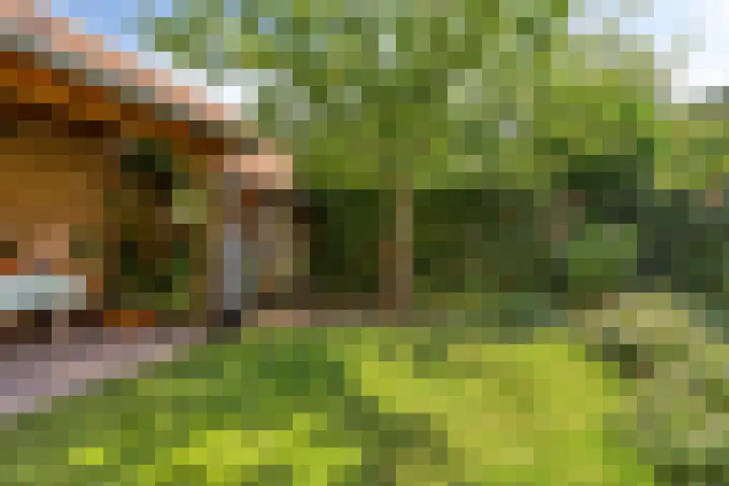 Gymnasiumstraat 4 A Assen thumbnail 30