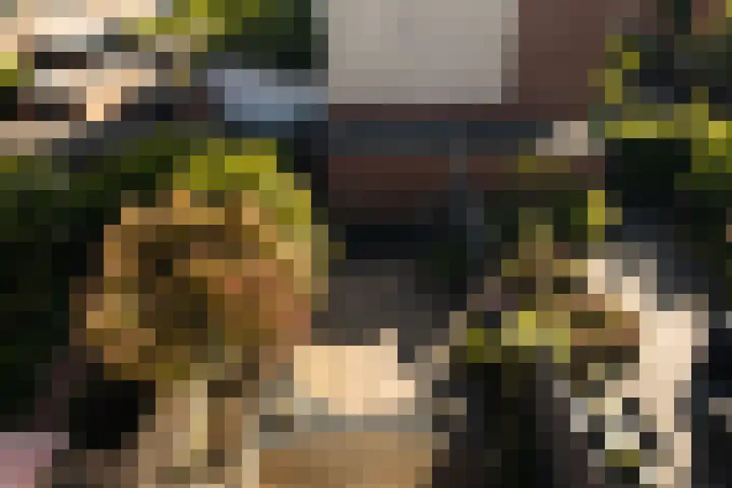 Gymnastiekplein 11 Den Haag thumbnail 63