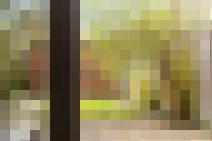 Gymnastiekplein 7 Den Haag thumbnail 7