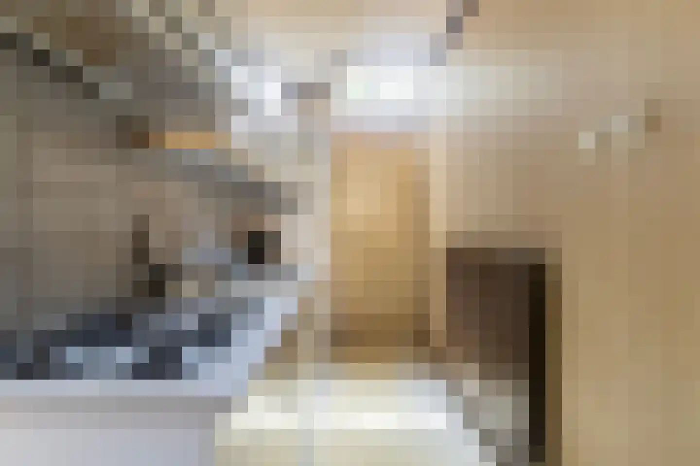 Gysbert Japicxstraat 24 Leeuwarden thumbnail 17