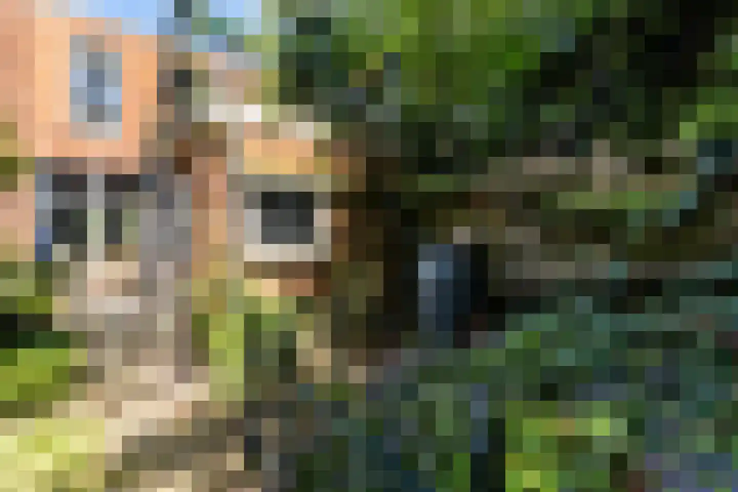 Gysbert Japicxstraat 24 Leeuwarden thumbnail 33
