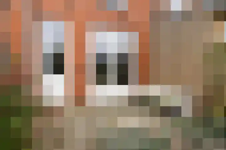 Gysbert Japicxstraat 34 Leeuwarden thumbnail 37