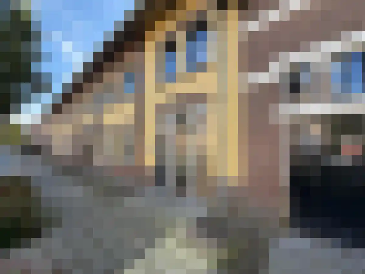 Gysbert Japicxstraat 46 Leeuwarden thumbnail 4