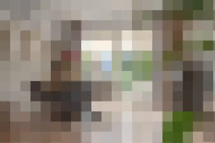 Gysbert Japicxstrjitte 1 Franeker thumbnail 11