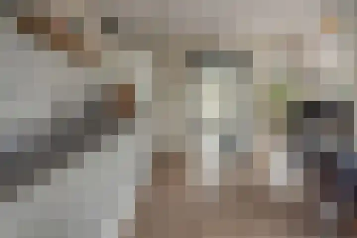 Gysbert Japicxstrjitte 1 Franeker thumbnail 15