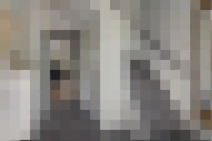 Gysbert Japicxstrjitte 1 Franeker thumbnail 17