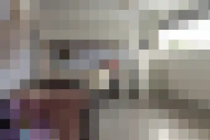 Gysbert Japicxstrjitte 1 Franeker thumbnail 20