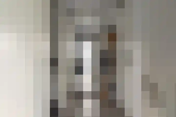 Gysbert Japicxstrjitte 1 Franeker thumbnail 22