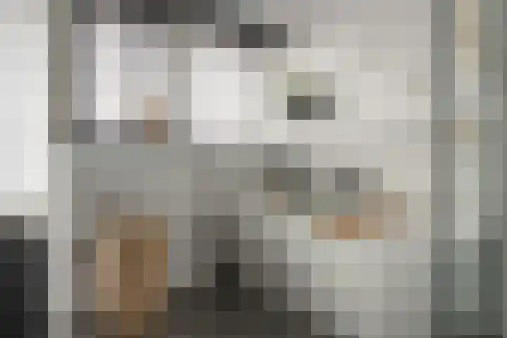 Gysbert Japicxstrjitte 1 Franeker thumbnail 23