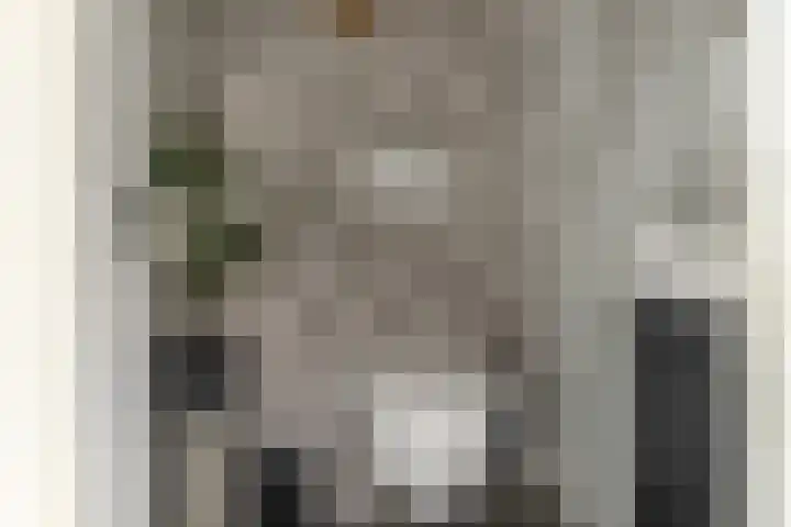 Gysbert Japicxstrjitte 1 Franeker thumbnail 26