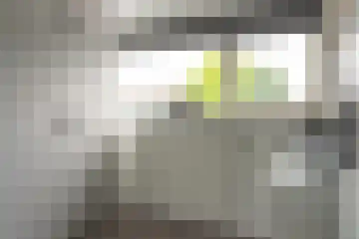 Gysbert Japicxstrjitte 1 Franeker thumbnail 27