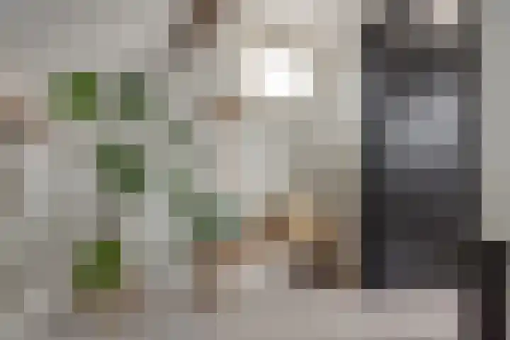 Gysbert Japicxstrjitte 1 Franeker thumbnail 29