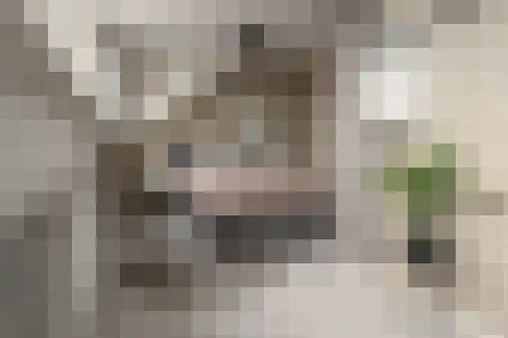 Gysbert Japicxstrjitte 1 Franeker thumbnail 30