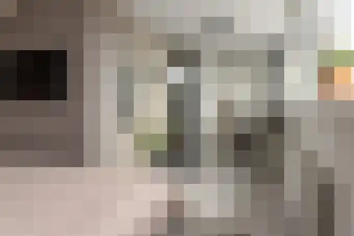 Gysbert Japicxstrjitte 1 Franeker thumbnail 31