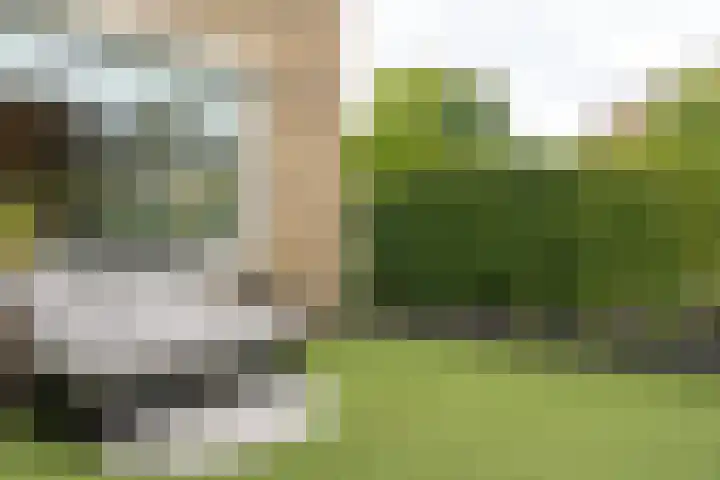 Gysbert Japicxstrjitte 1 Franeker thumbnail 36