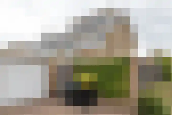 Gysbert Japicxstrjitte 1 Franeker thumbnail 39