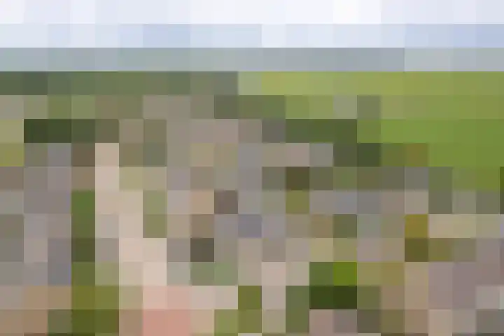 Gysbert Japicxstrjitte 1 Franeker thumbnail 45