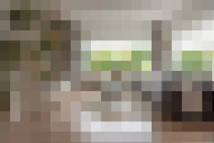 Gysbert Japicxstrjitte 1 Franeker thumbnail 6
