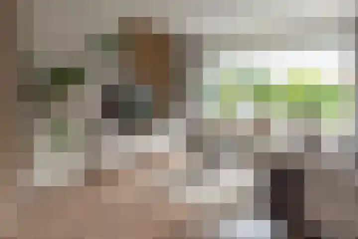 Gysbert Japicxstrjitte 1 Franeker thumbnail 7