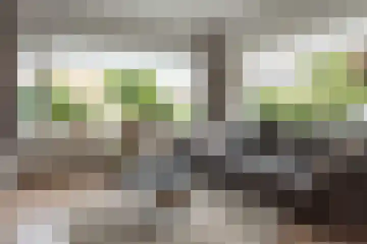 Gysbert Japicxstrjitte 1 Franeker thumbnail 8