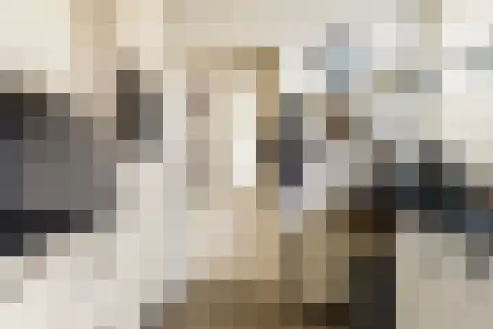 Gysbert Japicxstrjitte 37 Stiens thumbnail 12